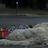 Protestul fermierilor continuă în Piața Victoriei. Oierii au dormit pe asfalt și au fost chemați la negocieri